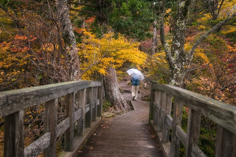 Mindful Walking